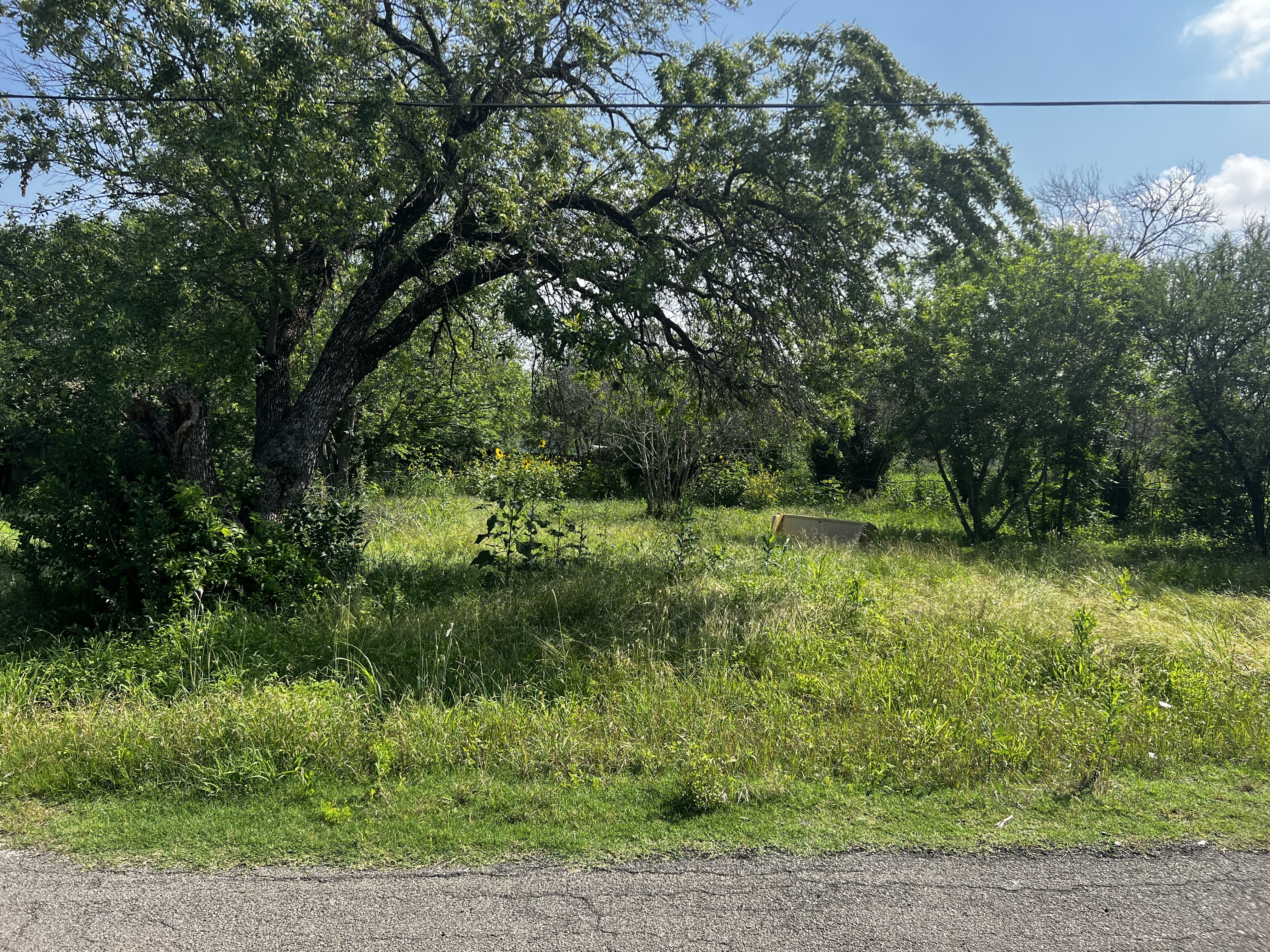 438 Hampton Street San Antonio, TX 78220