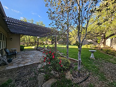 Photo 35